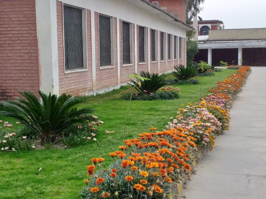 Welcome Back to GCMS Mardan